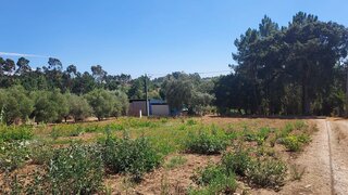 Terreno · 700 m² · 3500 €