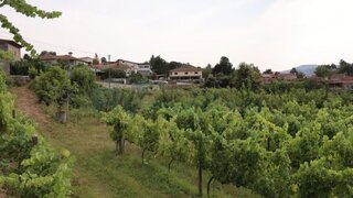 Land for sale in Felgueiras, Portugal — €165,000