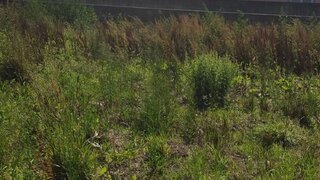 Land for sale in Vila do Conde, Portugal — €190,000