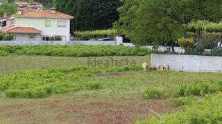 Land for sale in Paços de Ferreira, Portugal — €200,000