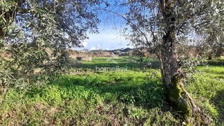 Land for sale in Soure, Portugal — €30,000