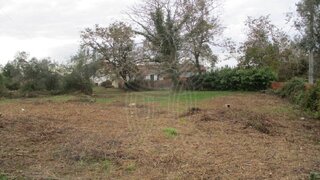 Land for sale in Albergaria-a-Velha, Portugal — €80,000
