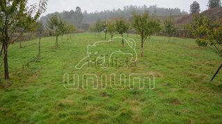 Land for sale in Ponte de Lima, Portugal — €83,000