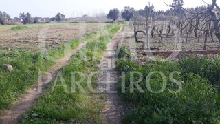 Land for sale in Oliveira do Bairro, Portugal — €80,000