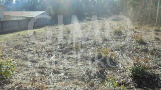 Land for sale in Anadia, Portugal — €30,000