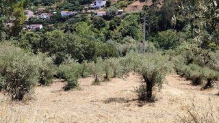 Terreno de 2196 m² em Coimbra