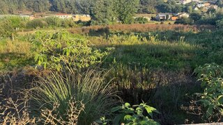 Terreno para venda em Águeda, Portugal — 407 000 €