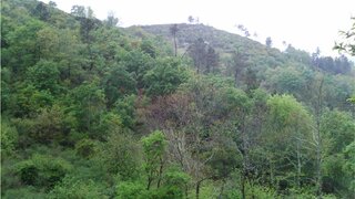 Land for sale in Baião, Portugal — €19,000