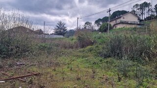 Terreno de 6000 m² em Coimbra