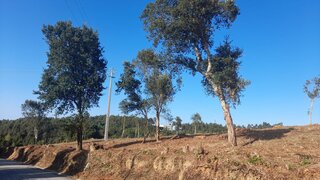 Land for sale in Espinho, Portugal — €77,500