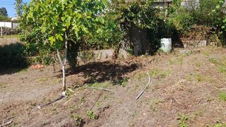 Land for sale in Oliveira de Azeméis, Portugal — €60,000