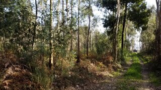 Land for sale in Maia, Portugal — €210,000