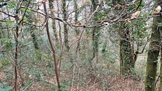 Land for sale in Vieira do Minho, Portugal — €10,000