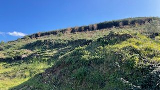 Land for sale in Oliveira do Hospital, Portugal — €45,000