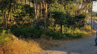 Land for sale in Lousada, Portugal — €295,000