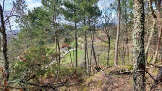 Land for sale in Baião, Portugal — €5,500