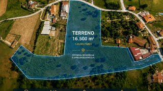 Land for sale in Anadia, Portugal — €90,000