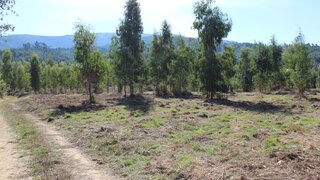 Land for sale in Arganil, Portugal — €80,000