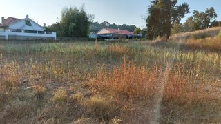 Land for sale in Arganil, Portugal — €25,000