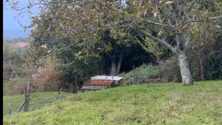 Land for sale in Miranda do Corvo, Portugal — €89,000