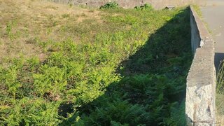 Land for sale in Paredes, Portugal — €90,000