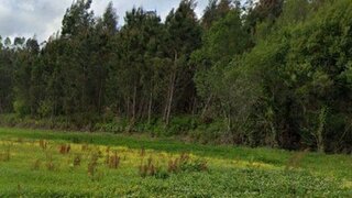 Land for sale in Figueira da Foz, Portugal — €29,000