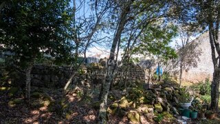 Land for sale in Penela, Portugal — €39,000