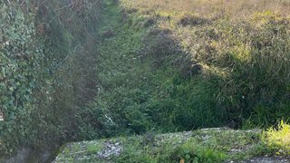 Land for sale in Soure, Portugal — €56,500