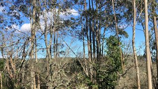 Land for sale in Condeixa-a-Nova, Portugal — €12,000