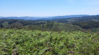 Land for sale in Vieira do Minho, Portugal — €125,000