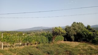 Land for sale in Miranda do Corvo, Portugal — €55,000