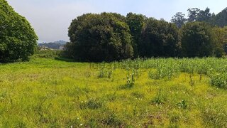 Land for sale in Gondomar, Portugal — €72,000