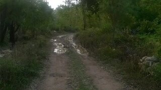 Terreno em Lousã