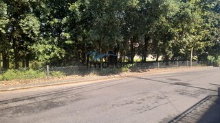Land for sale in Oliveira de Azeméis, Portugal — €58,000