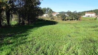 Land for sale in Albergaria-a-Velha, Portugal — €120,000
