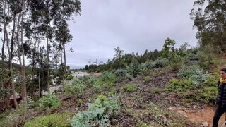 Terreno de 4000 m² em Coimbra
