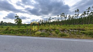 Land for sale in Cantanhede, Portugal — €125,000