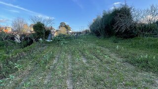 Land for sale in Cantanhede, Portugal — €20,000