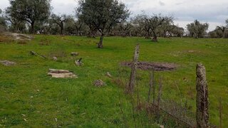 Land for sale in Oliveira do Hospital, Portugal — €350,000