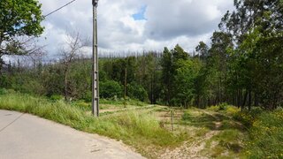 Land for sale in Albergaria-a-Velha, Portugal — €23,000