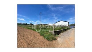 Land for sale in Águeda, Portugal — €62,500
