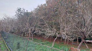 Land for sale in Matosinhos, Portugal — €360,000