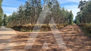 Land for sale in Oliveira de Azeméis, Portugal — €140,000