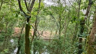 Land for sale in Esposende, Portugal — €18,000
