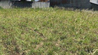 Land for sale in Vila Nova de Gaia, Portugal — €230,000