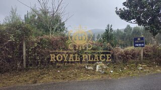 Land for sale in Castelo de Paiva, Portugal — €60,000