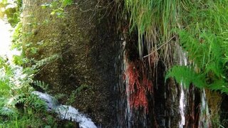 Terreno para venda em Marco de Canaveses, Portugal — 45 000 €