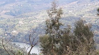 Land for sale in Baião, Portugal — €37,900