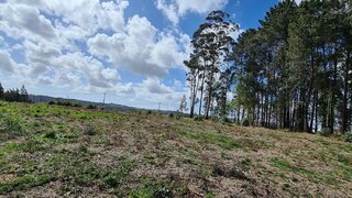 Land for sale in Oliveira de Azeméis, Portugal — €150,000