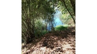 Terreno em Arganil